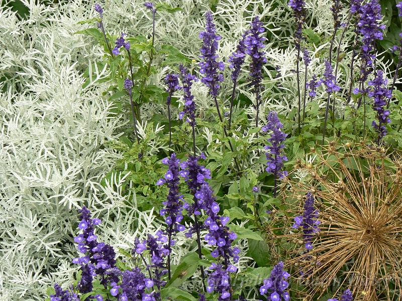 Sissinghurst Castle gardens P1120682.JPG